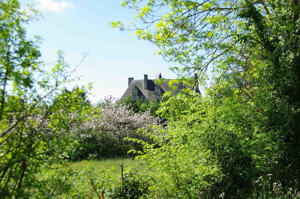 Chateau De Vermette Otel La Chapelle-Gaudin Dış mekan fotoğraf