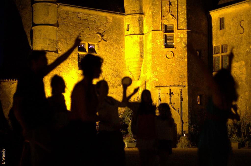 Chateau De Vermette Otel La Chapelle-Gaudin Dış mekan fotoğraf